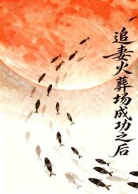 追妻火葬场最后没追上
