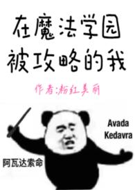 我在魔法学院任教的日子